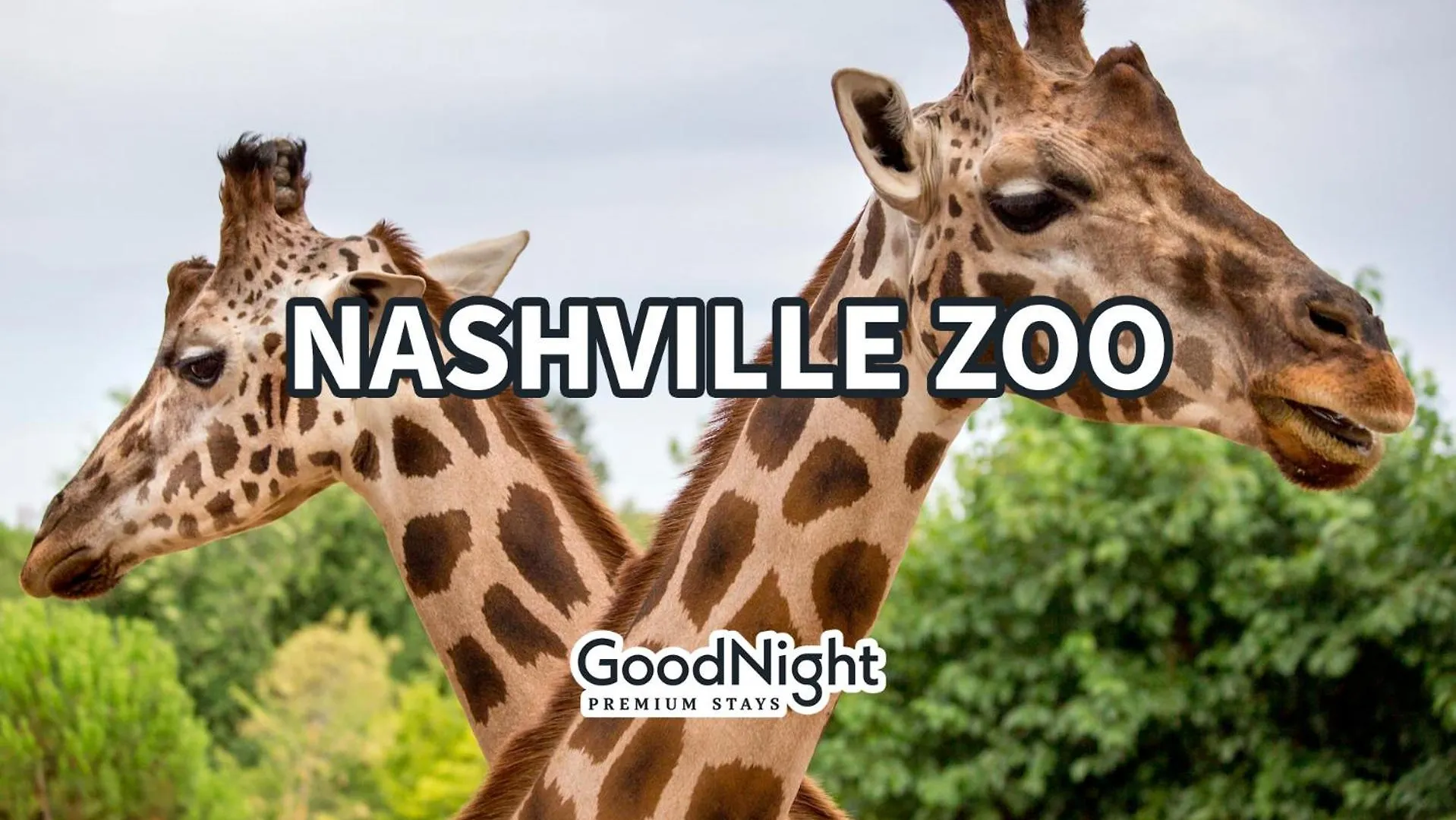 Melrose Mezzo - 5 Mins To Broadway - Rooftop Nashville Holiday home